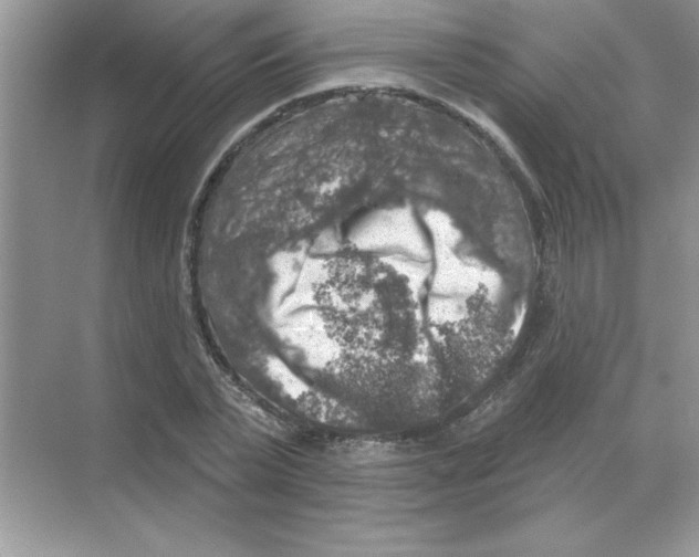 X0000068890783200606021918