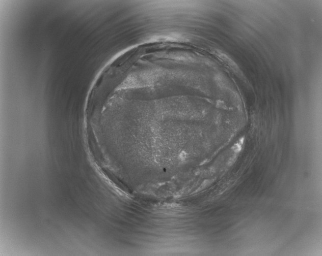 X0000068890784200606021918