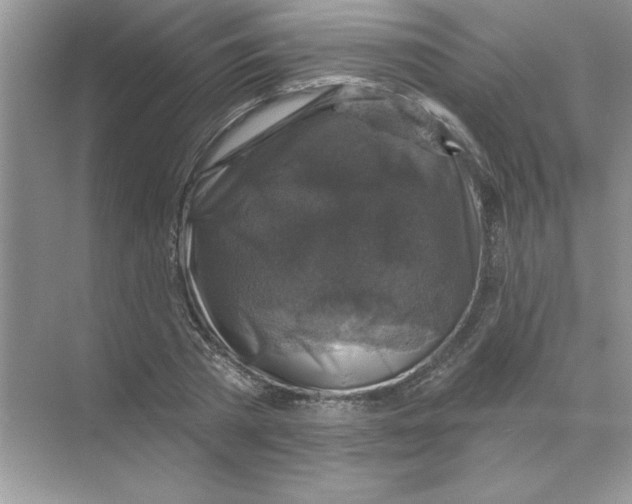 X0000068890785200606021918