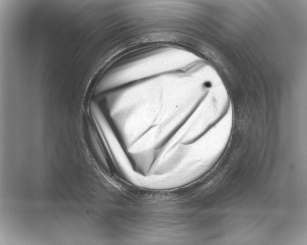 X0000068890786200606021918