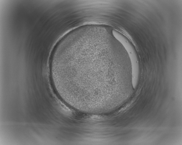 X0000068890787200606021918