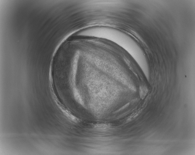 X0000068890788200606021918