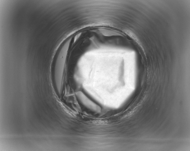 X0000068890789200606021918