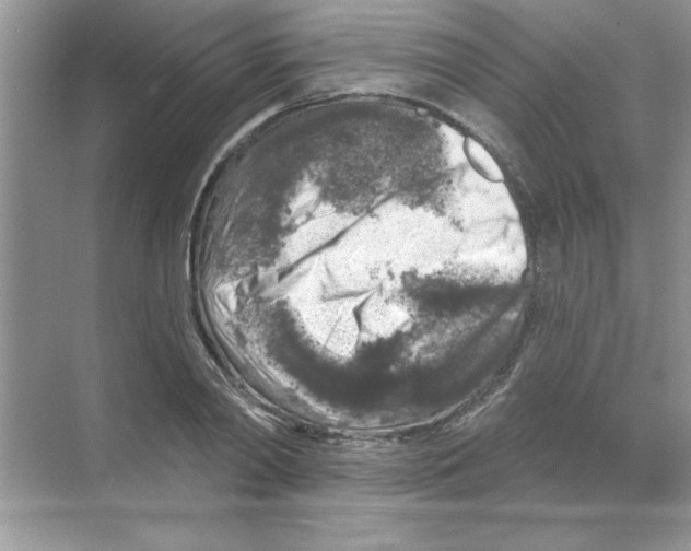 X0000068890790200606021918