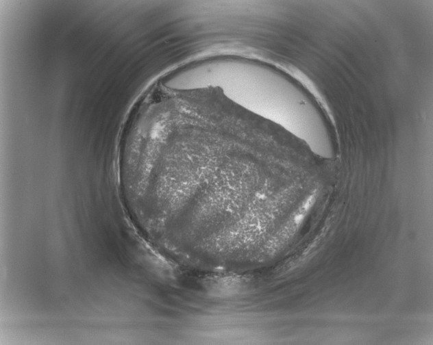 X0000068890791200606021918