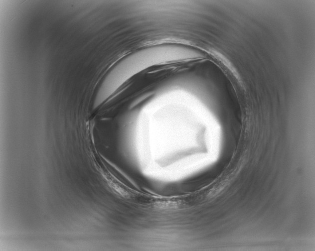 X0000068890793200606021918