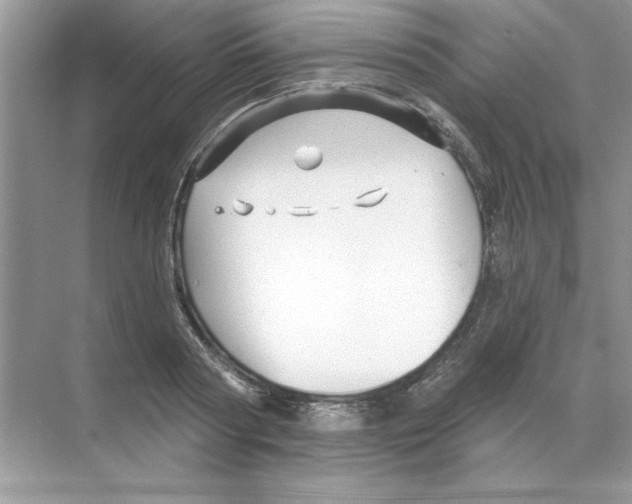 X0000068890794200606021918