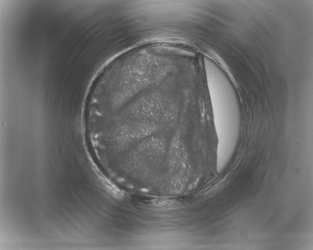 X0000068890795200606021918