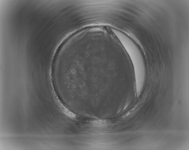 X0000068890797200606021918