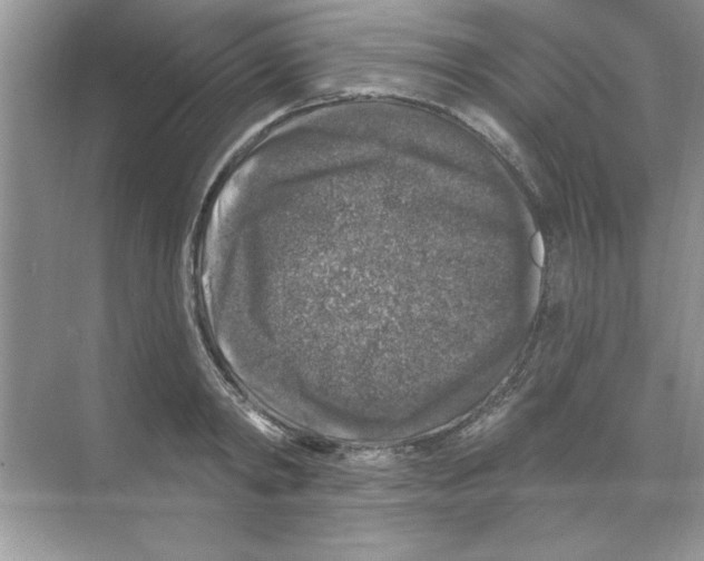 X0000068890798200606021918