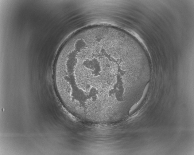 X0000068890799200606021918