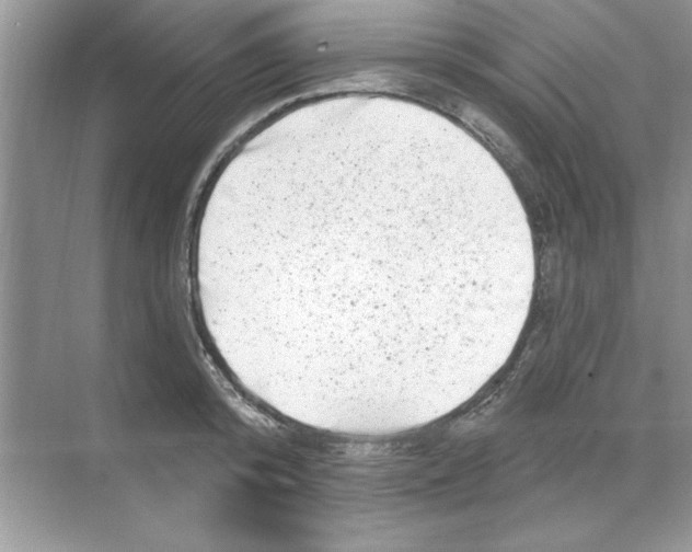 X0000068890800200606021918