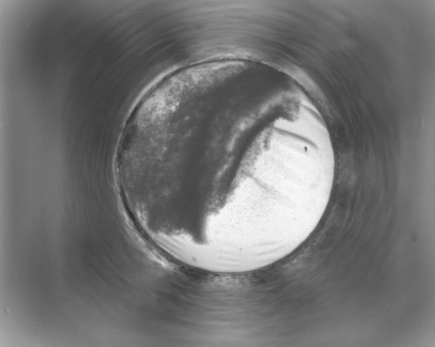 X0000068890806200606021918