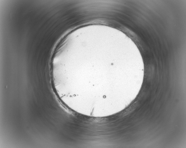 X0000068890808200606021918