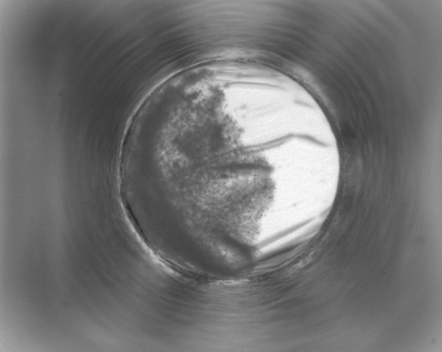 X0000068890810200606021918