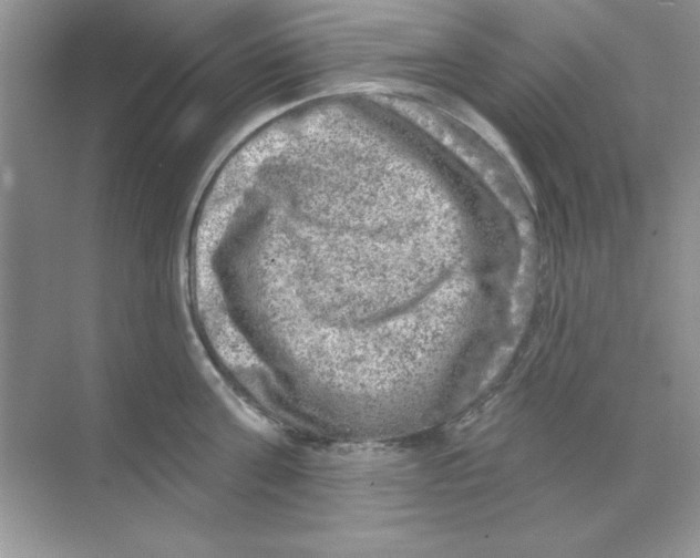 X0000068890811200606021918