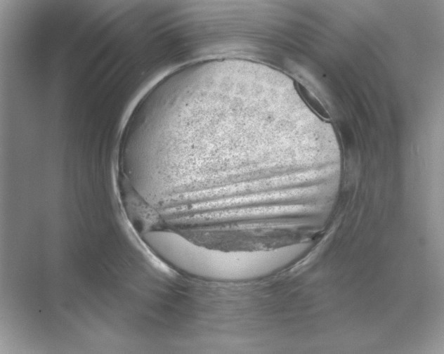 X0000068890812200606021918