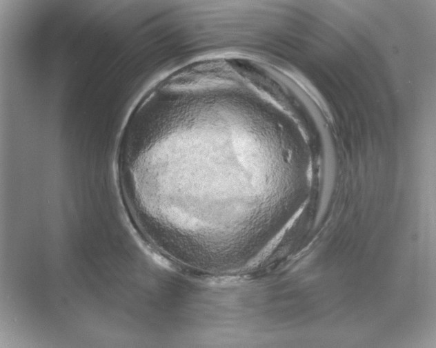 X0000068890813200606021918