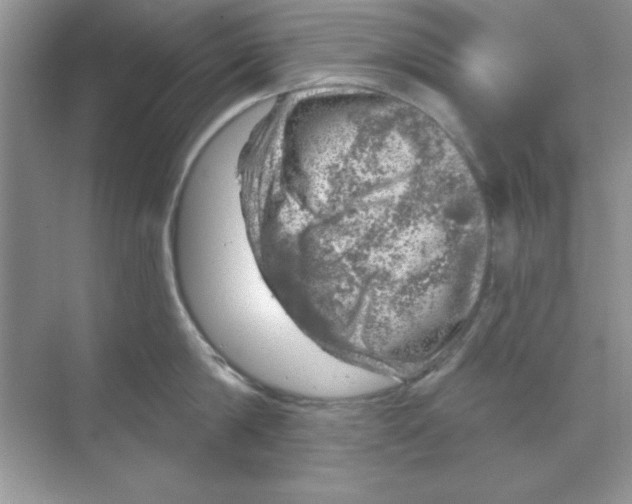 X0000068890814200606021918