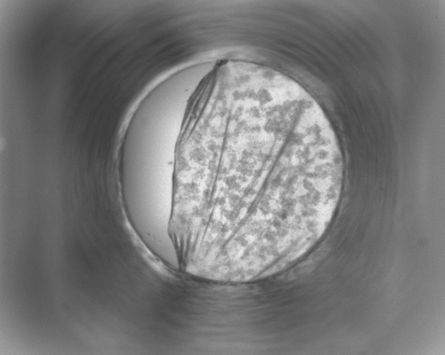 X0000068890816200606021918