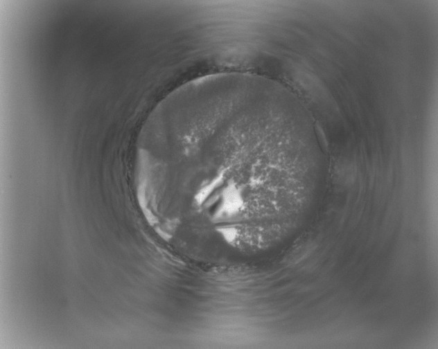 X0000068890817200606021917