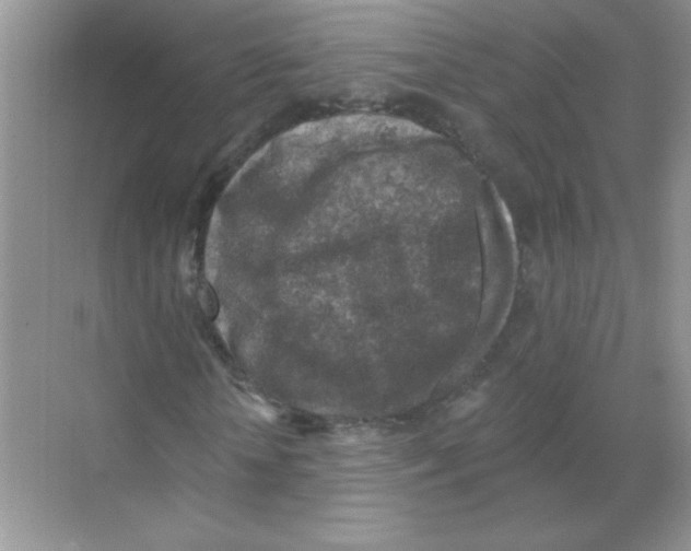 X0000068890818200606021917