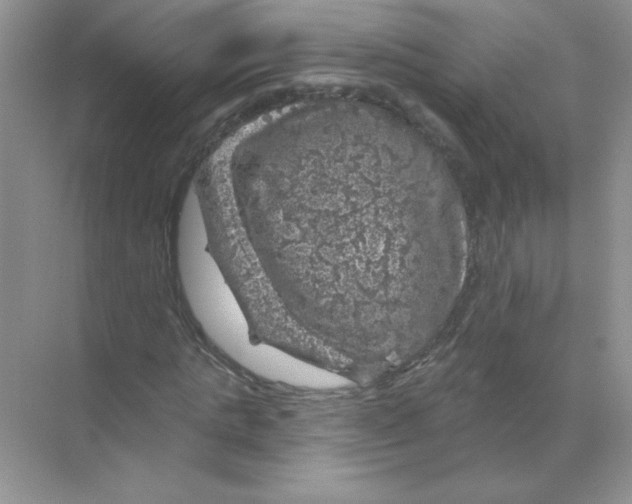 X0000068890821200606021917