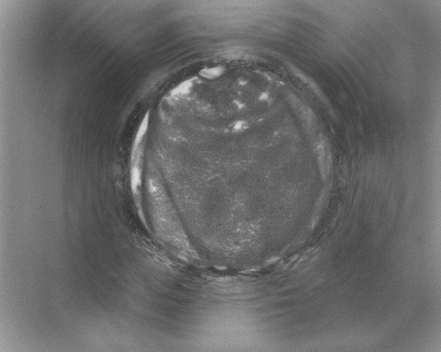 X0000068890823200606021917