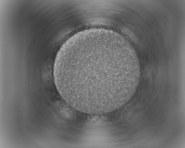 X0000068890824200606021917