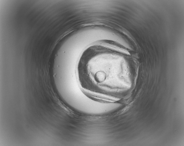 X0000068890826200606021917