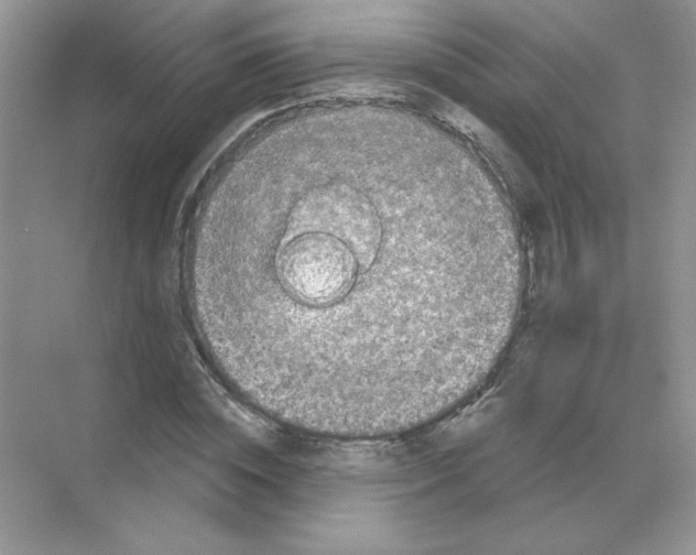 X0000068890828200606021917