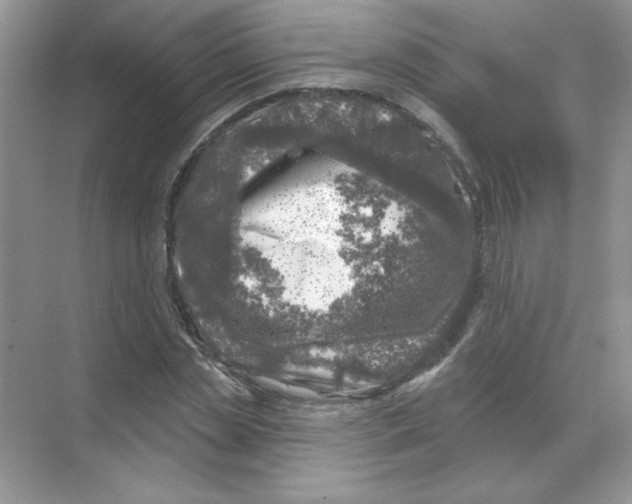 X0000068890829200606021917