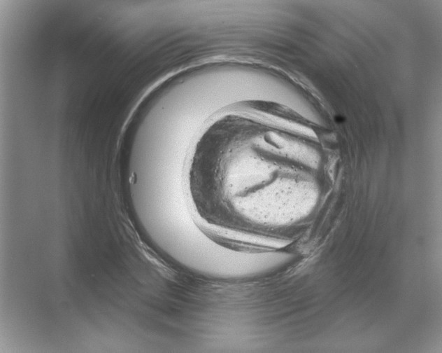 X0000068890830200606021917