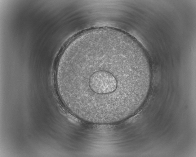 X0000068890832200606021917