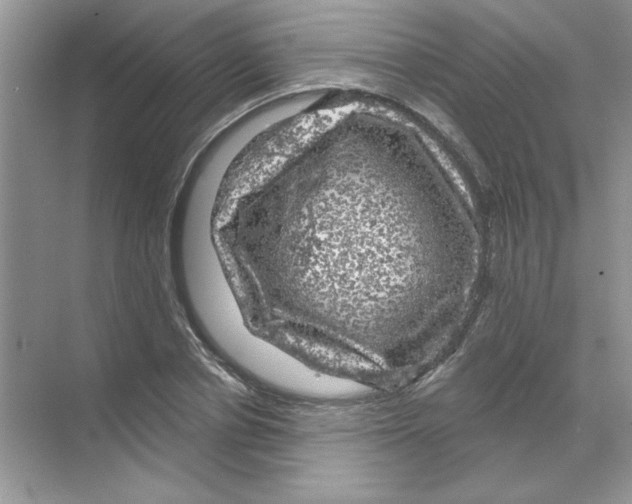 X0000068890834200606021917