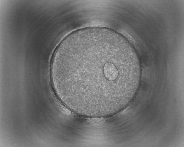 X0000068890836200606021917