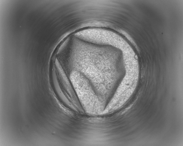 X0000068890837200606021917