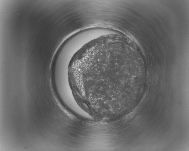 X0000068890838200606021917