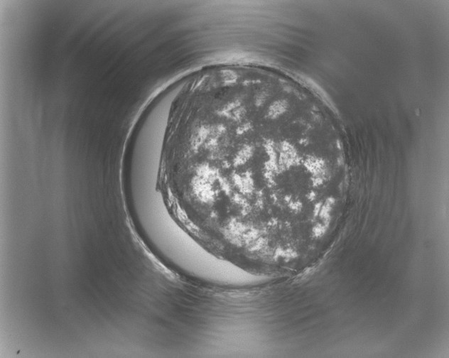 X0000068890839200606021917