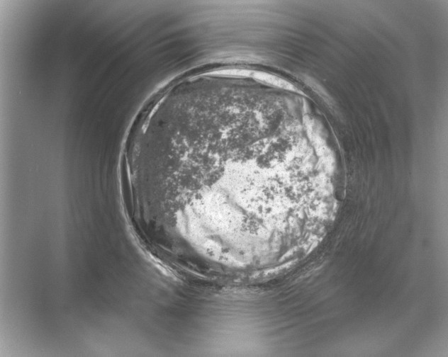 X0000068890840200606021917