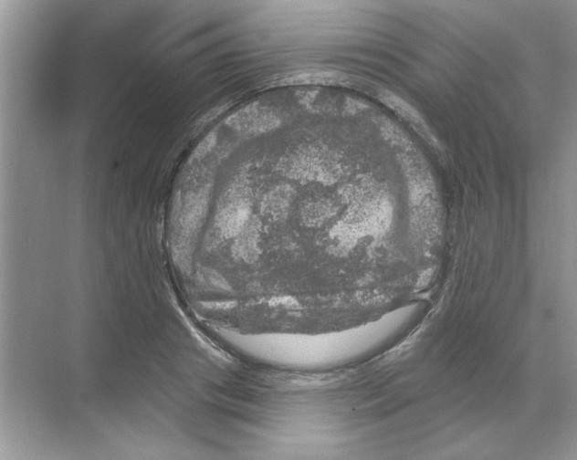 X0000068890841200606021917