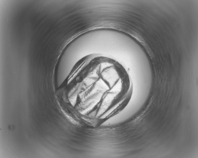 X0000068890842200606021917