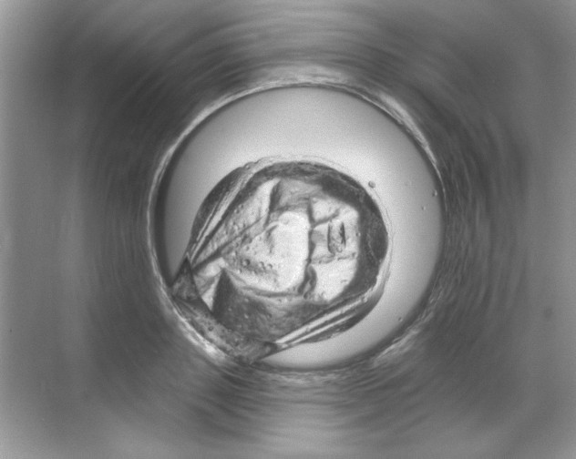 X0000068890843200606021917