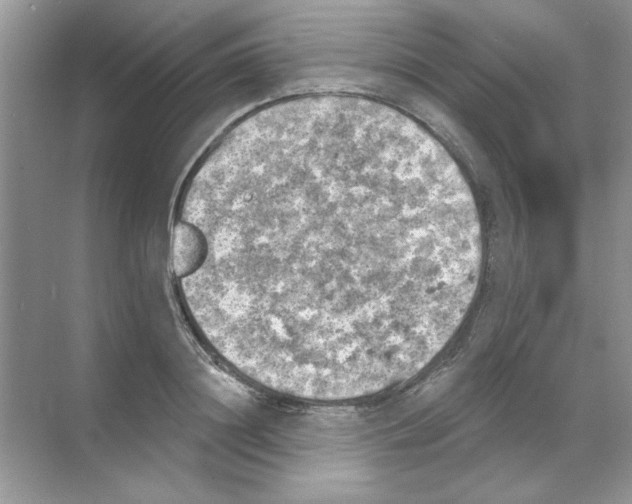 X0000068890844200606021917