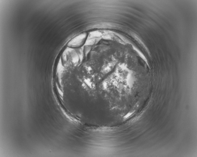 X0000068890845200606021917