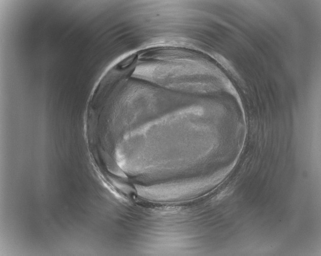 X0000068890846200606021917