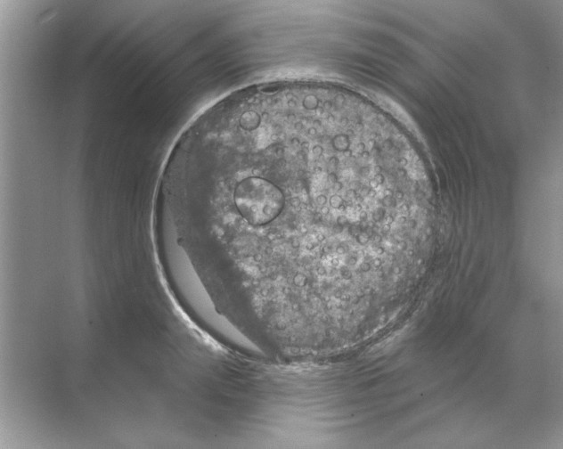 X0000068890847200606021917