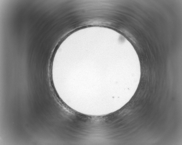 X0000068890848200606021917