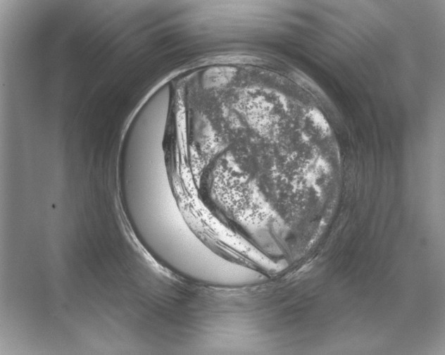 X0000068890852200606021917