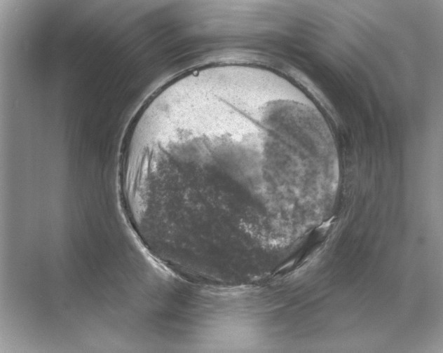 X0000068890853200606021917